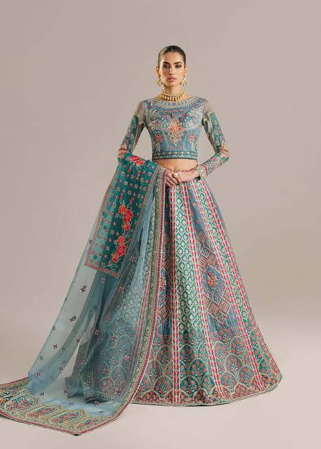 Akbar Aslam Organza Frock-Organza-Green-Maxi-Aarasta