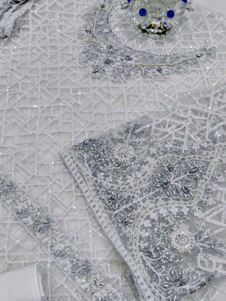 Anaya Net Bridal Suit-Aarasta