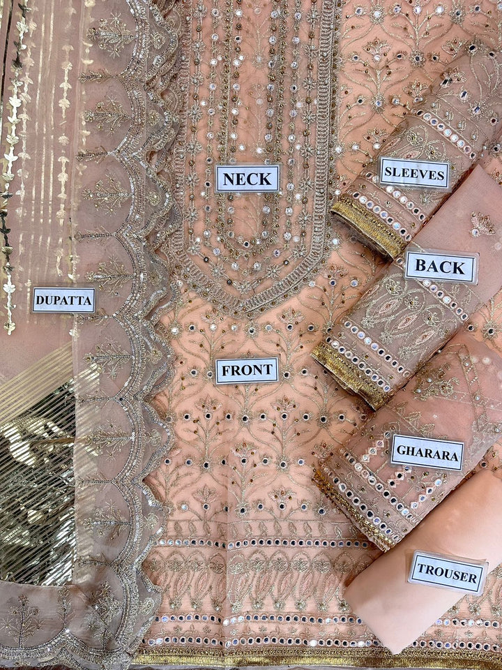 Jal Pari Organza Bridal Suit-Aarasta