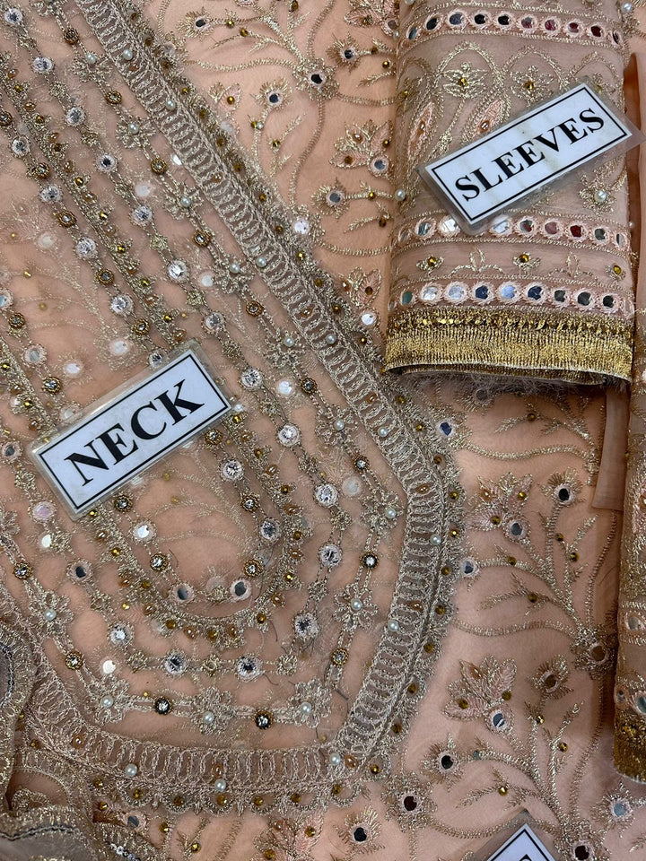 Jal Pari Organza Bridal Suit-Aarasta