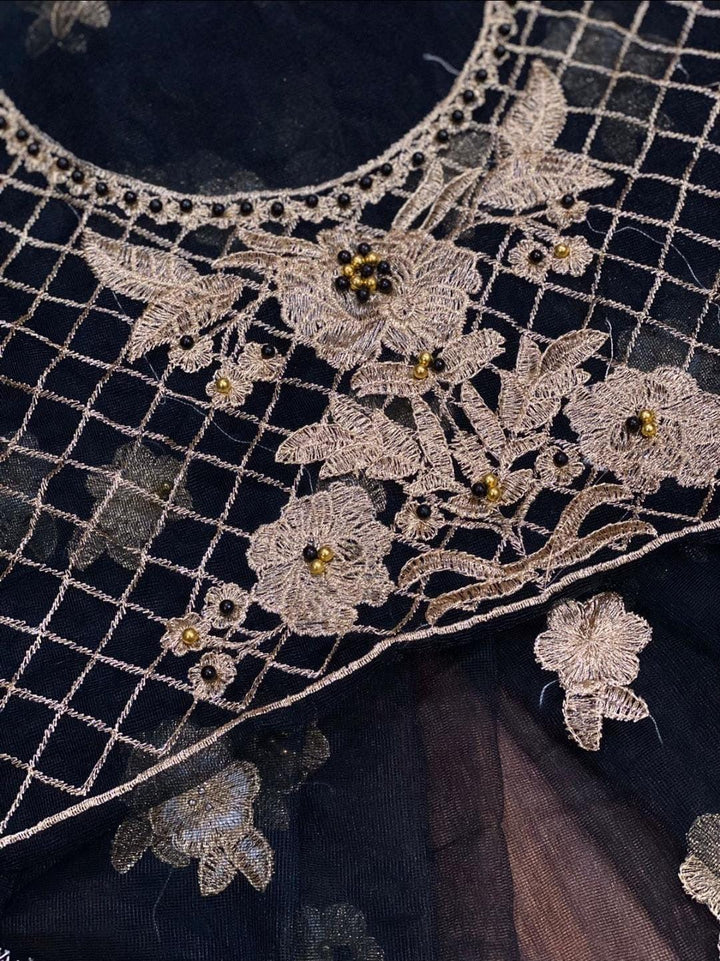 Hira Mani Net Frock-Aarasta