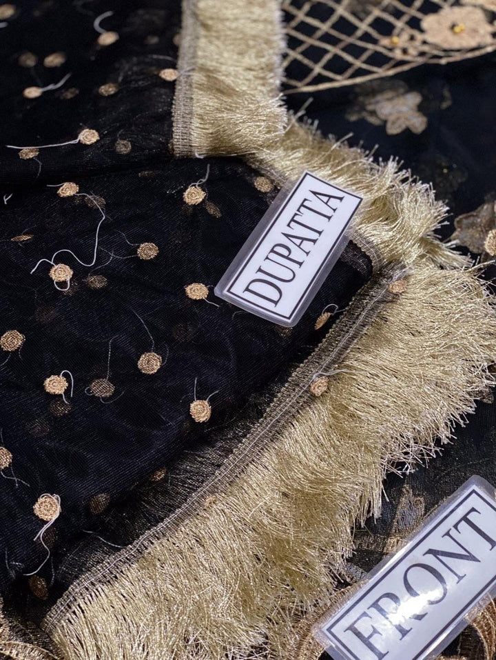 Hira Mani Net Frock-Aarasta