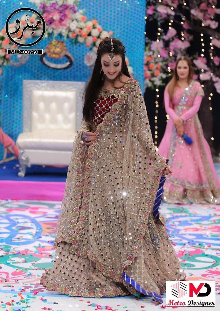 Kashee Net Bridal Suit-Aarasta