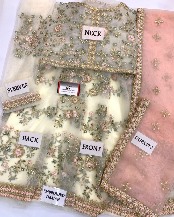 Lashkara Net Frock-Aarasta