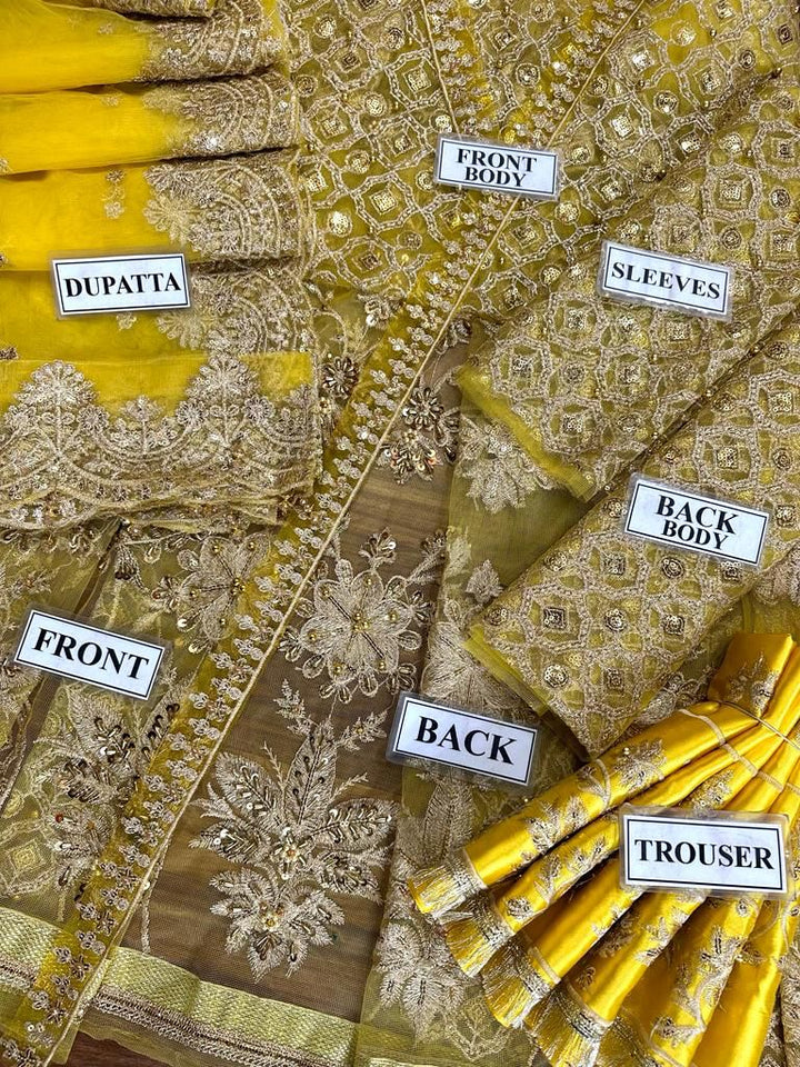 Maria B Net Frock-Aarasta