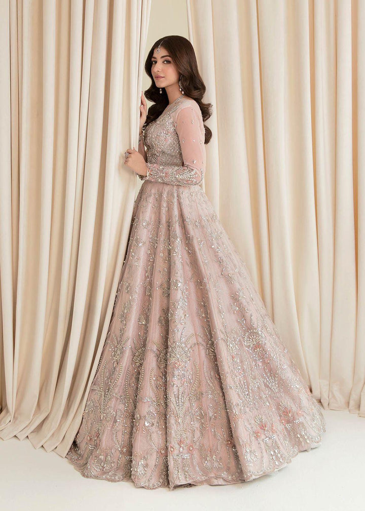 Maria B Net Frock-Aarasta