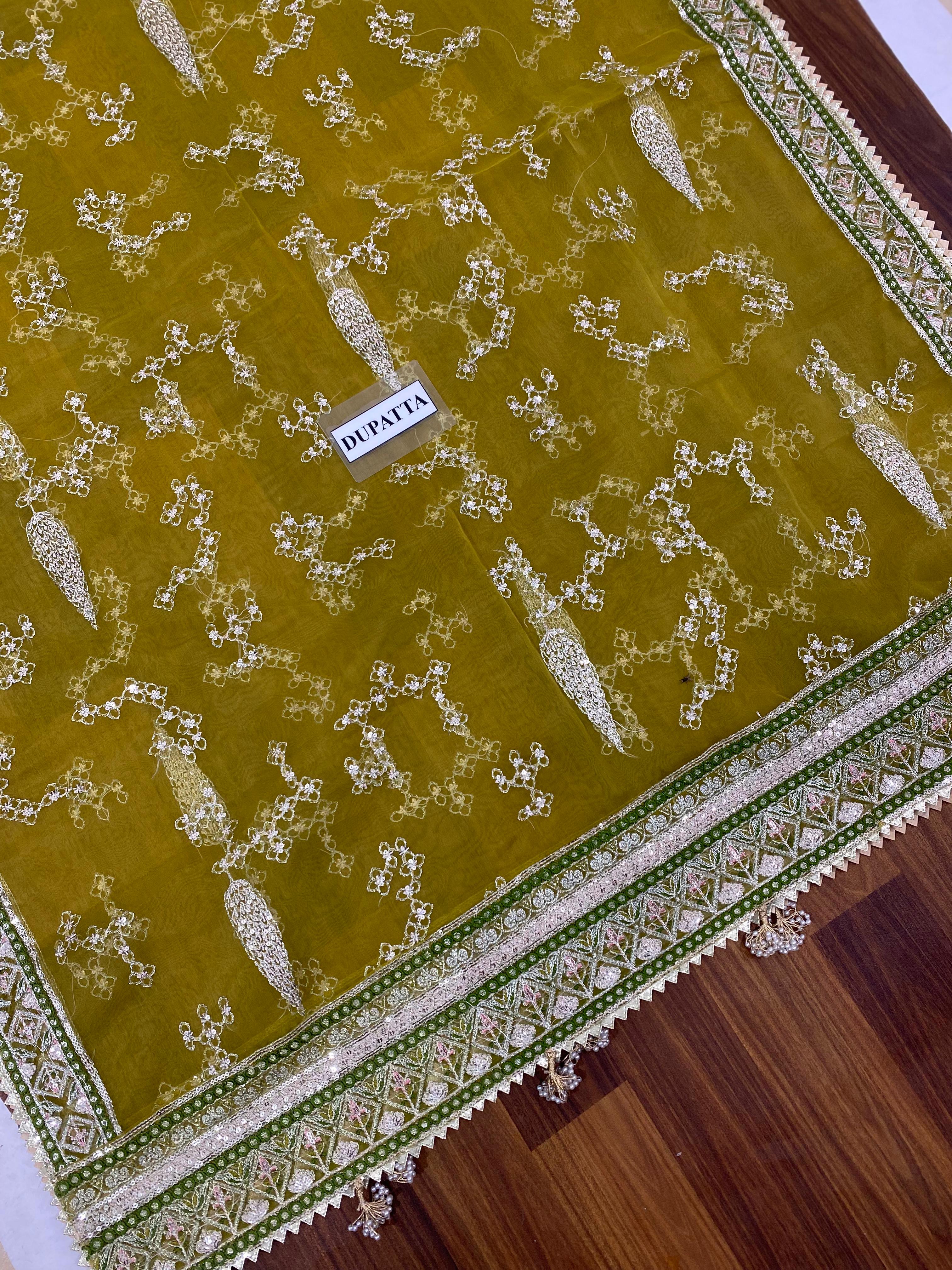 Mohsin Naveed Organza Suit-Aarasta