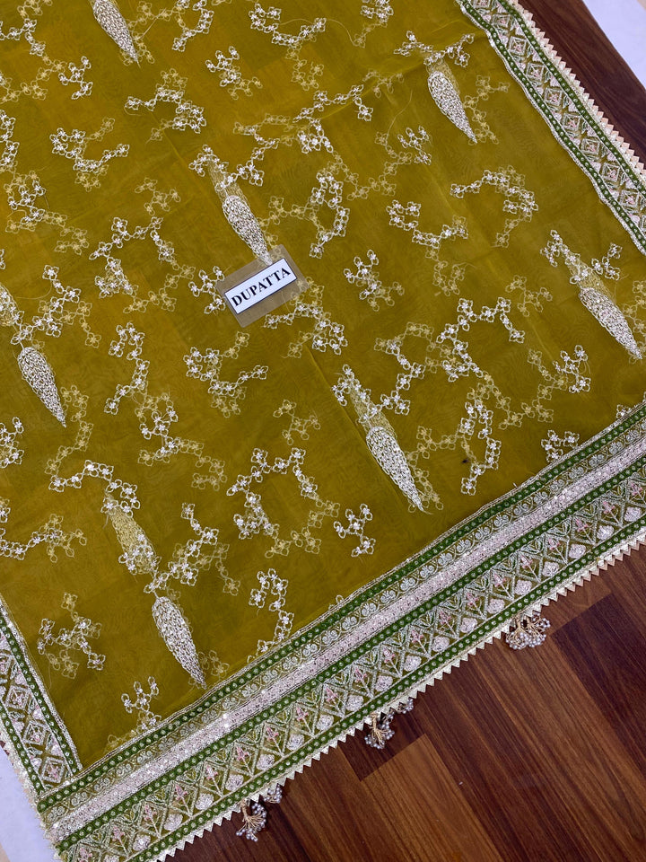 Mohsin Naveed Organza Suit-Aarasta