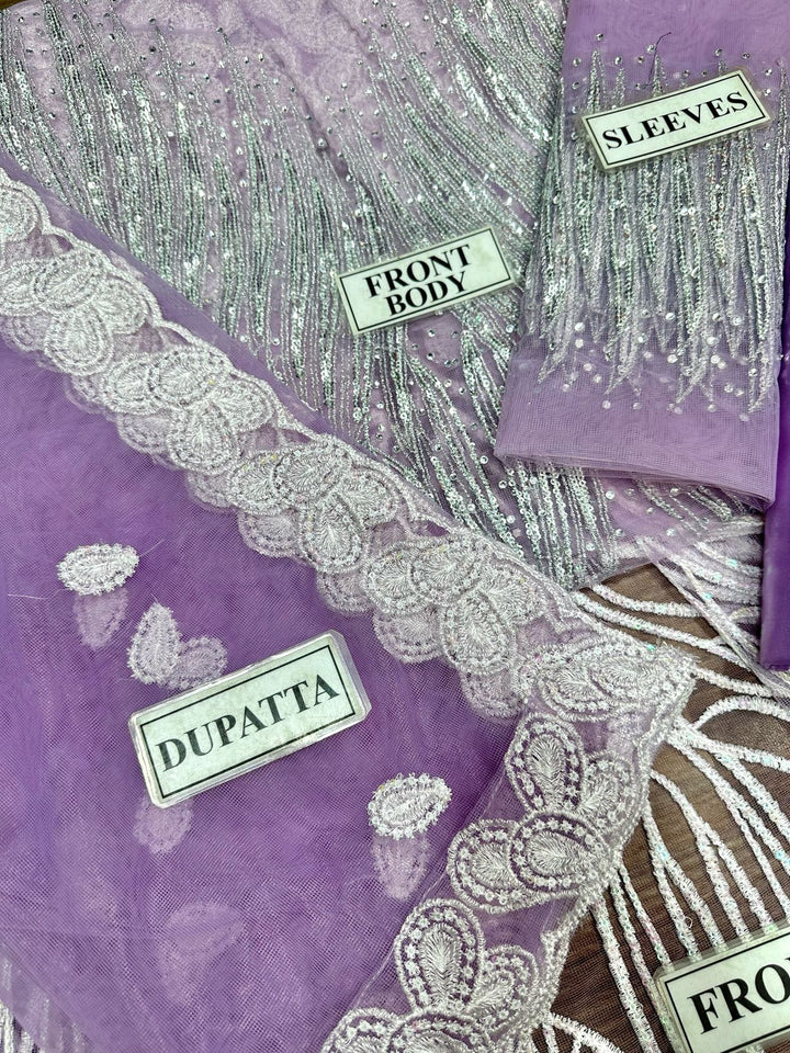 Nashwa Haute Net Frock-Aarasta