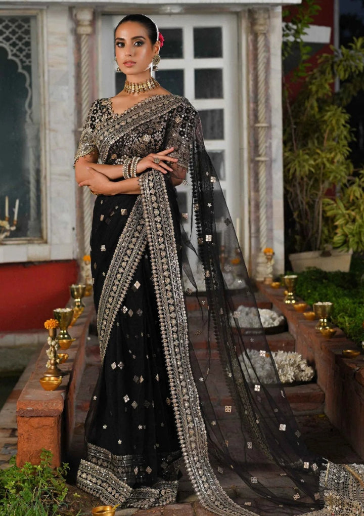 Qalamkar Net Saree-Black-Net-Sari-Aarasta