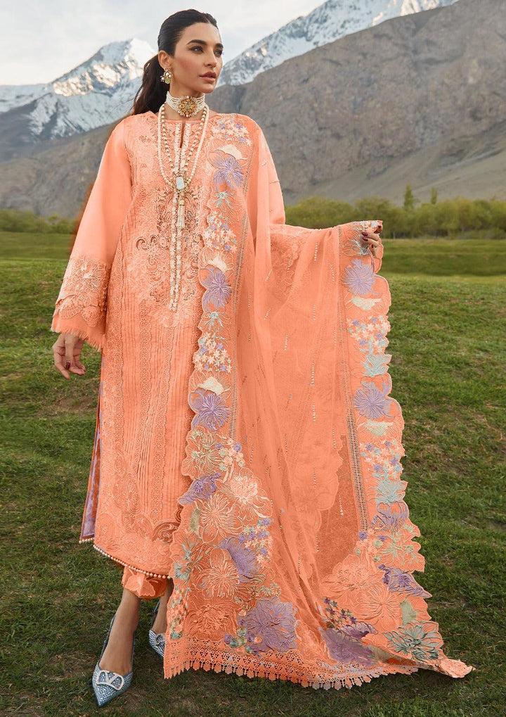 Crimson Cotton Suit-Orange-Cotton-Aarasta