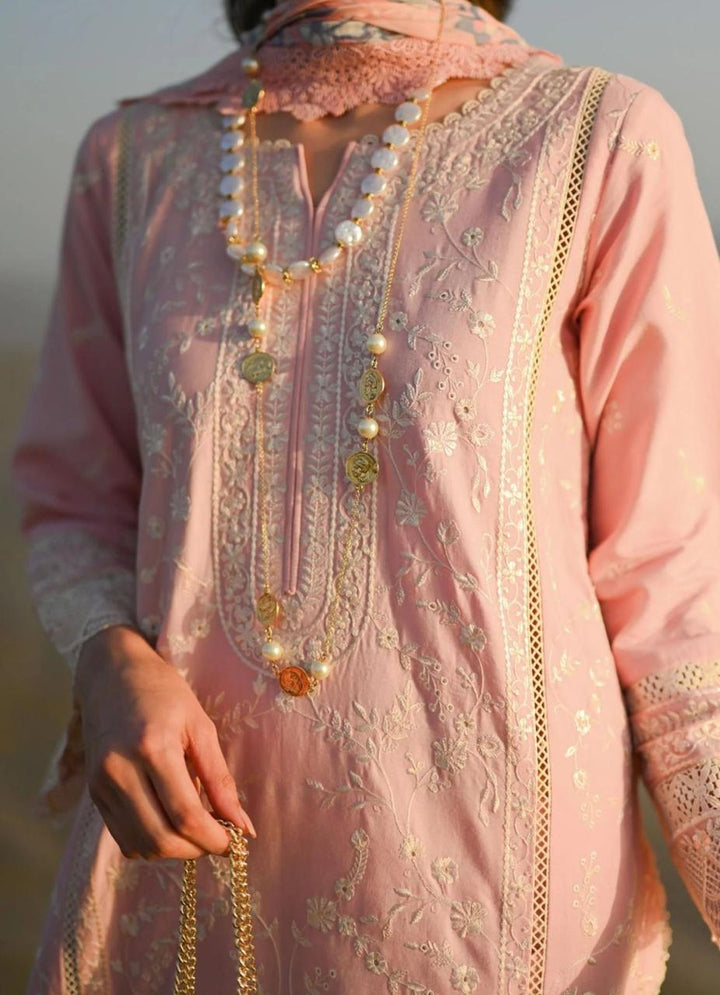 Nimsay Cotton Suit-Aarasta