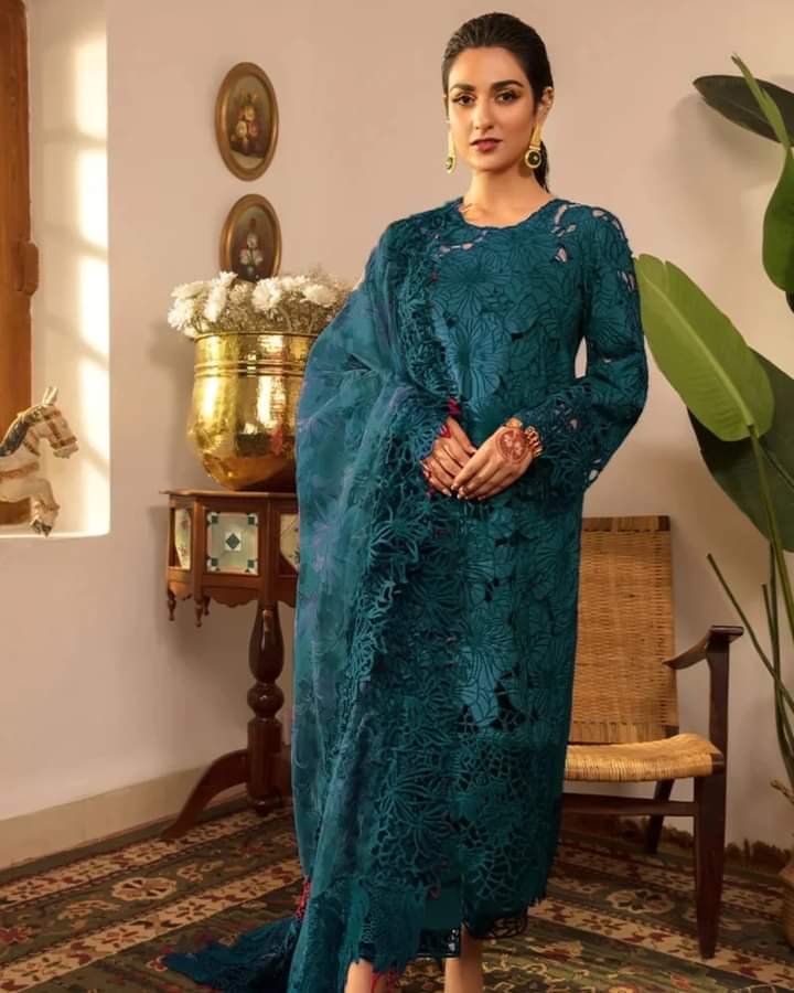 Rang Rasiya Lawn Suit-Lawn-Zinc-Organza-Aarasta