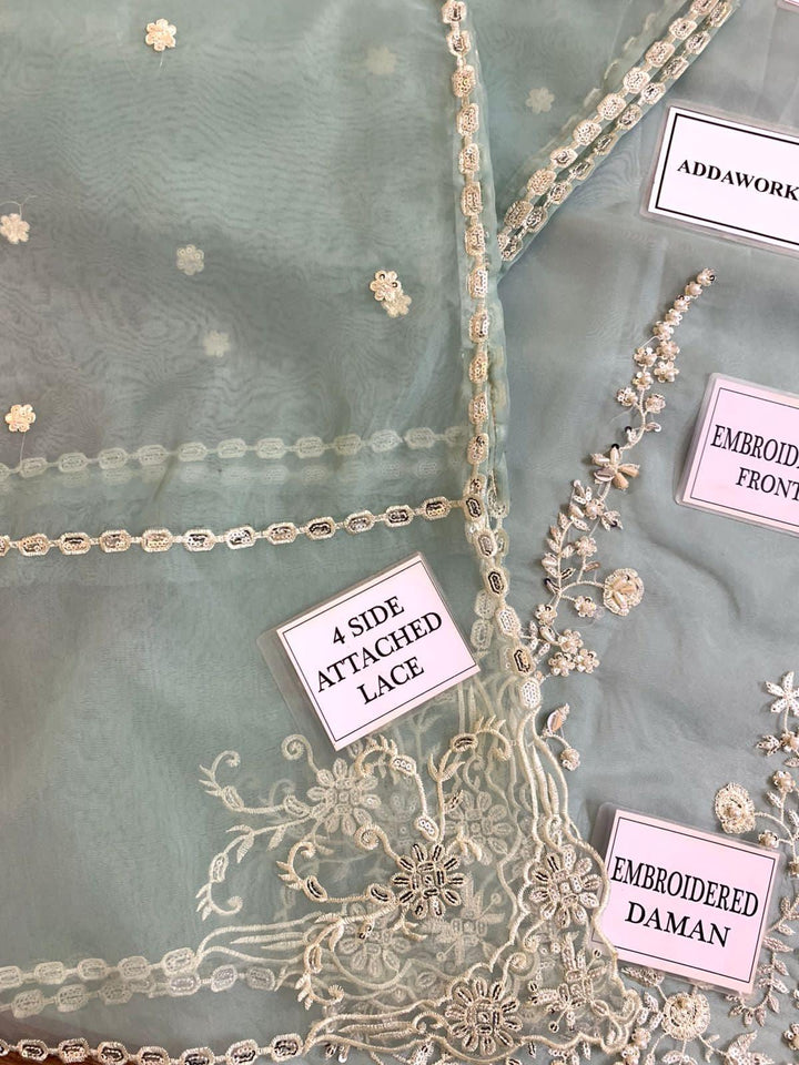 Agha Noor Organza Suit-Aarasta