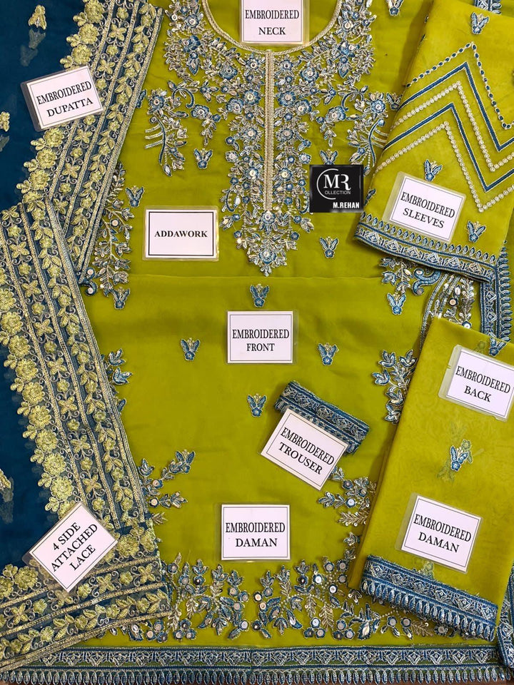 Akbar Aslam Organza Suit-Aarasta