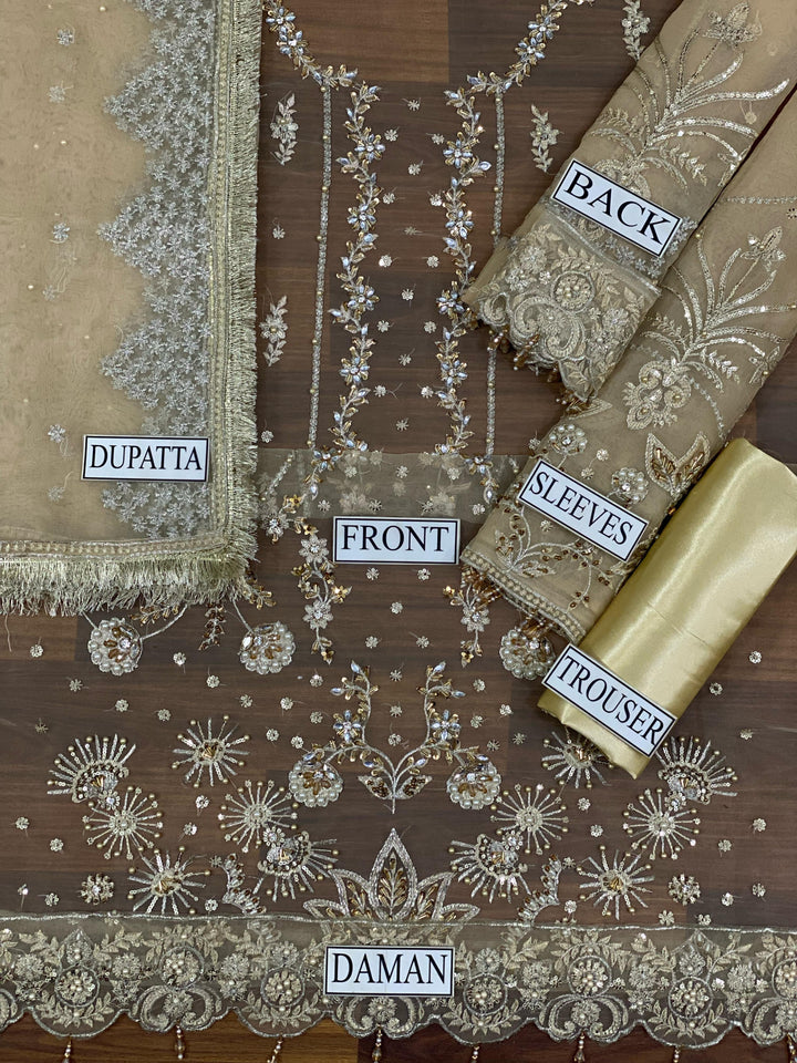 Alizeh Organza Suit-Aarasta