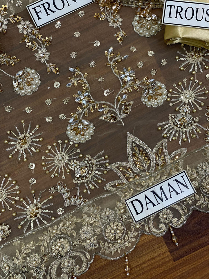 Alizeh Organza Suit-Aarasta