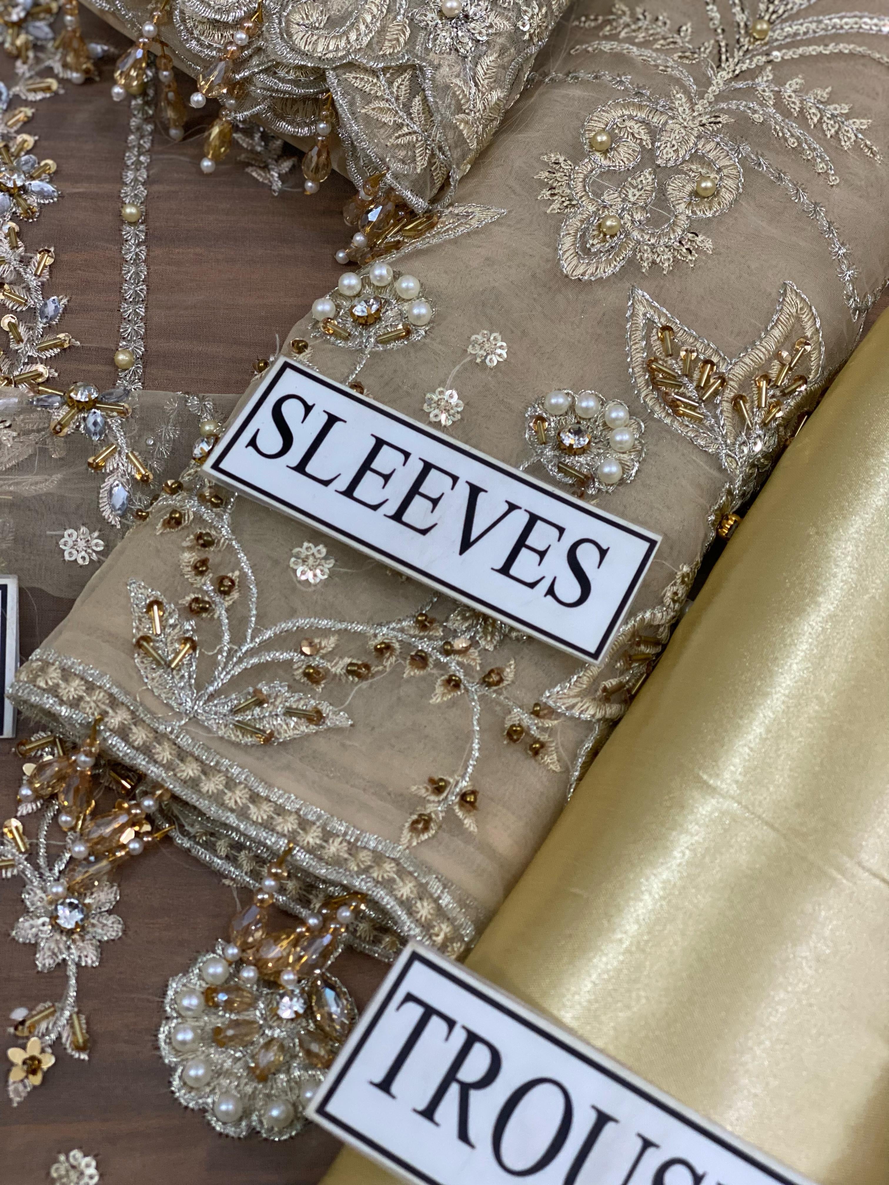 Alizeh Organza Suit-Aarasta