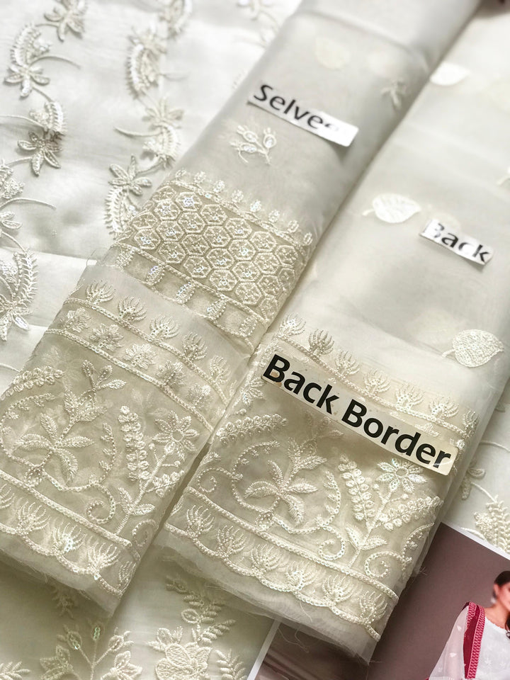 Alizeh Organza Suit-Aarasta