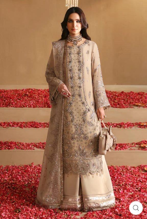 Alizeh Organza Suit-Skin-Organza-Aarasta