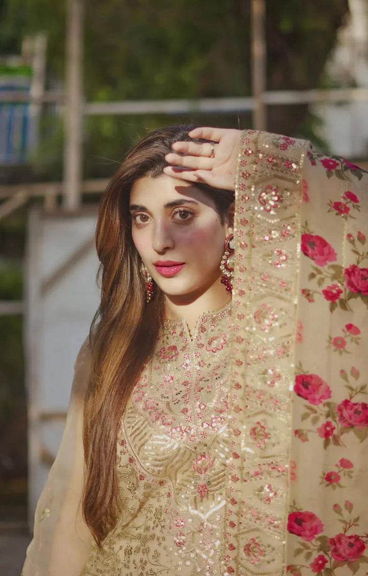 Aneelas Organza Suit-Aarasta