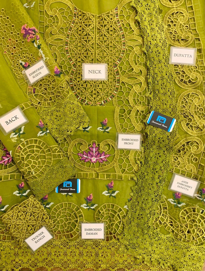 Aneelas Organza Suit-Aarasta