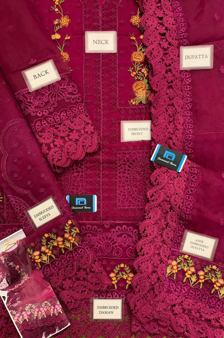 Aneela's Organza Suit-Aarasta