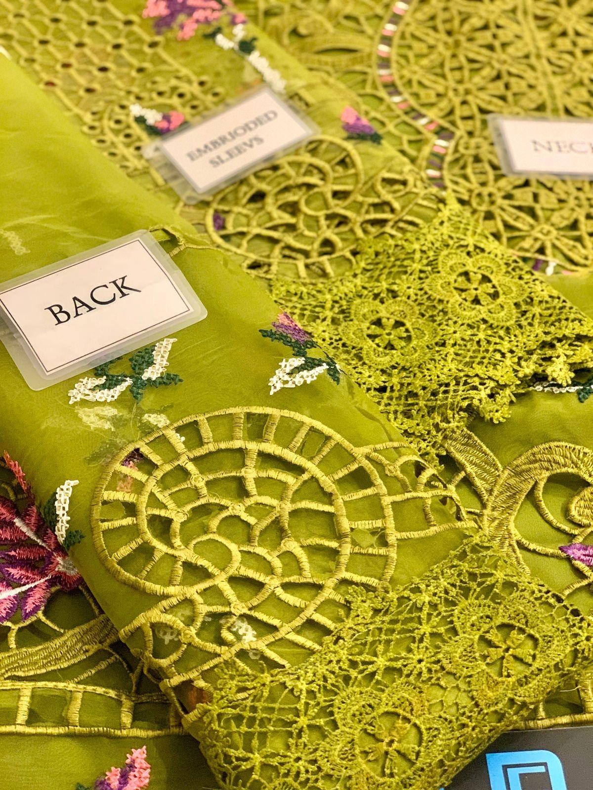 Aneelas Organza Suit-Aarasta