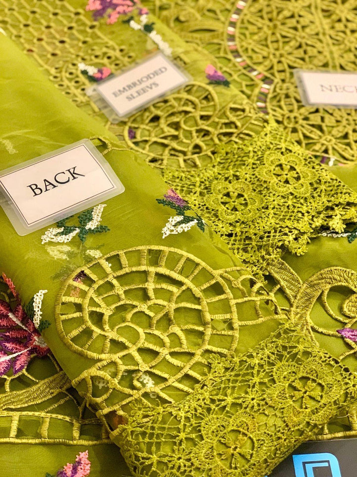 Aneelas Organza Suit-Aarasta