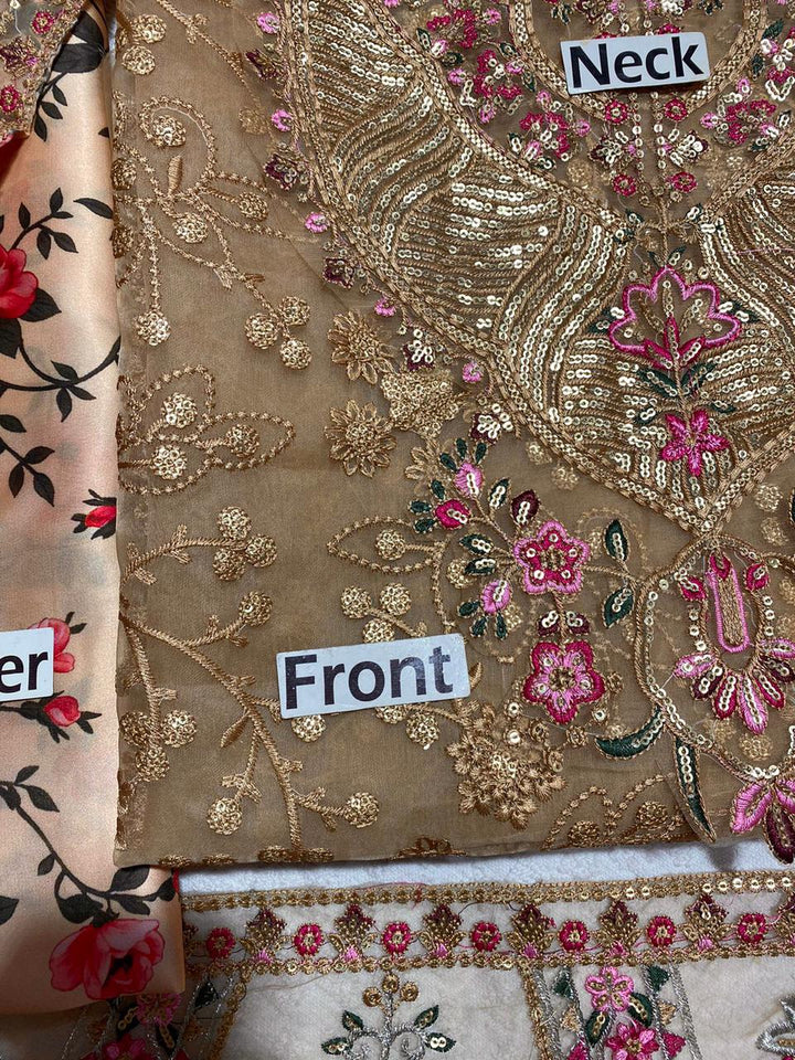 Aneelas Organza Suit-Aarasta