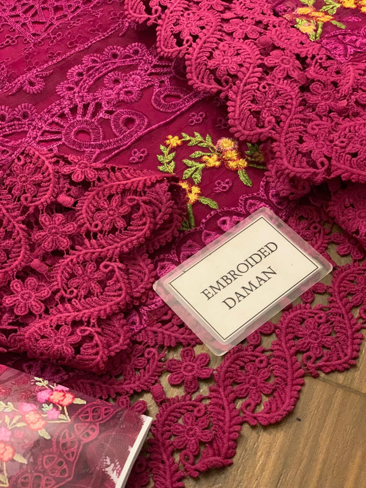 Aneela's Organza Suit-Aarasta