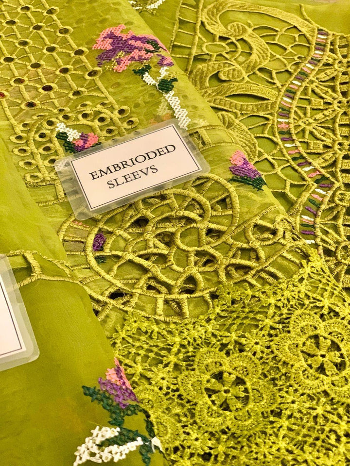 Aneelas Organza Suit-Aarasta