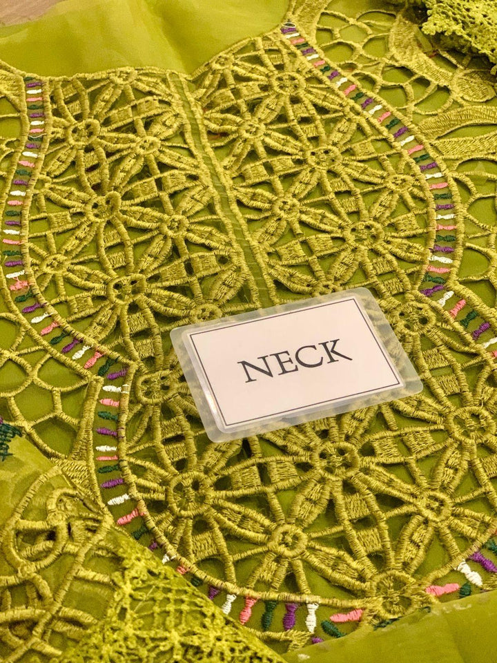 Aneelas Organza Suit-Aarasta