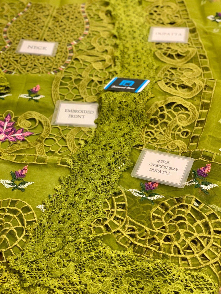 Aneelas Organza Suit-Aarasta