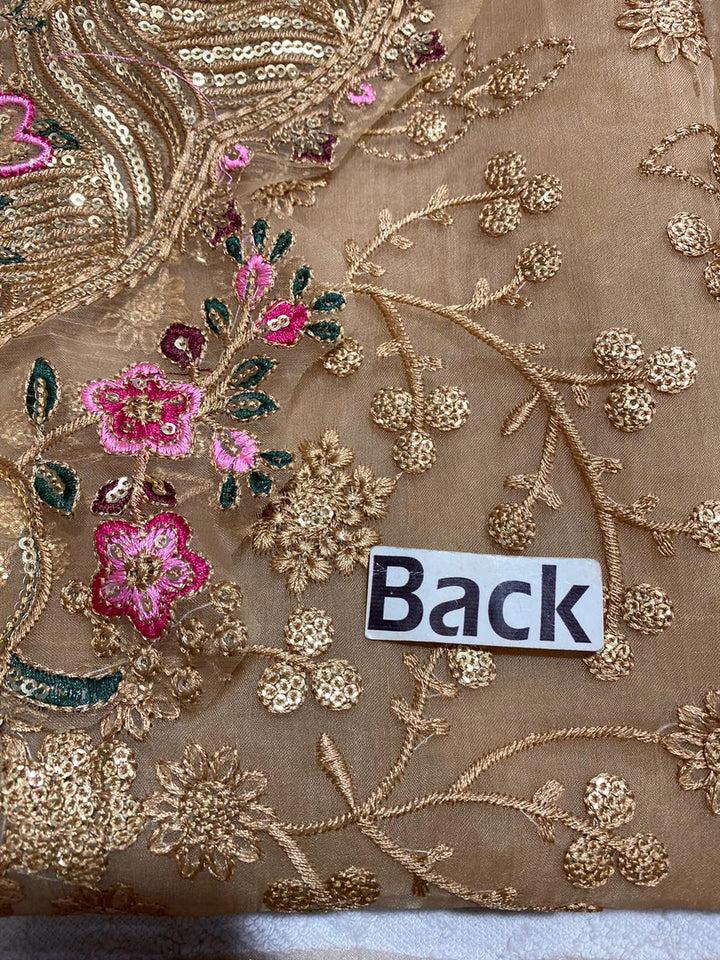 Aneelas Organza Suit-Aarasta