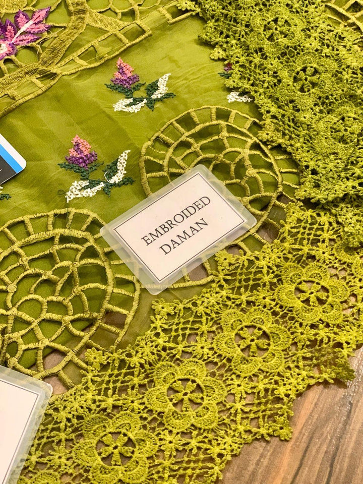 Aneelas Organza Suit-Aarasta