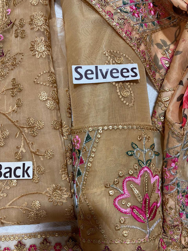 Aneelas Organza Suit-Aarasta