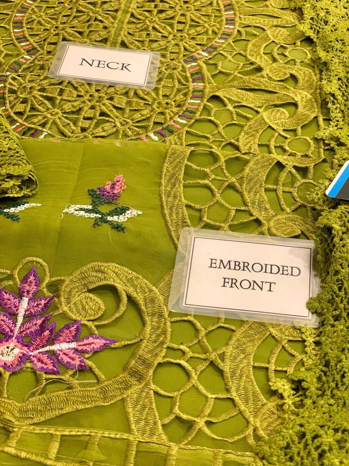 Aneelas Organza Suit-Aarasta