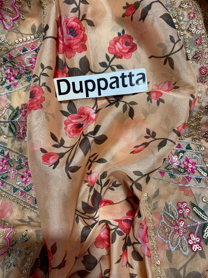 Aneelas Organza Suit-Aarasta