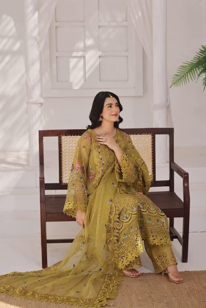 Aneelas Organza Suit-Green-Organza-Aarasta