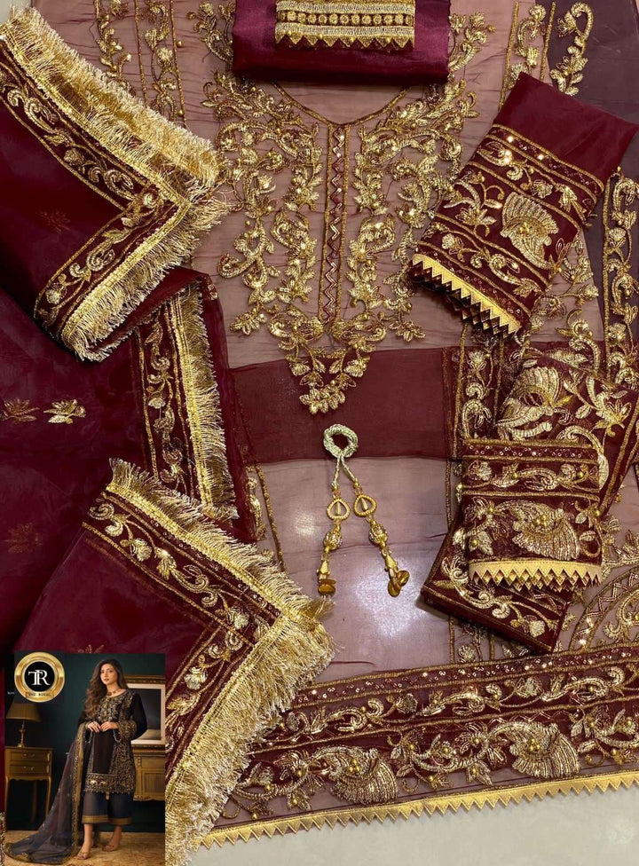 Asim Jofa Organza Suit-Aarasta