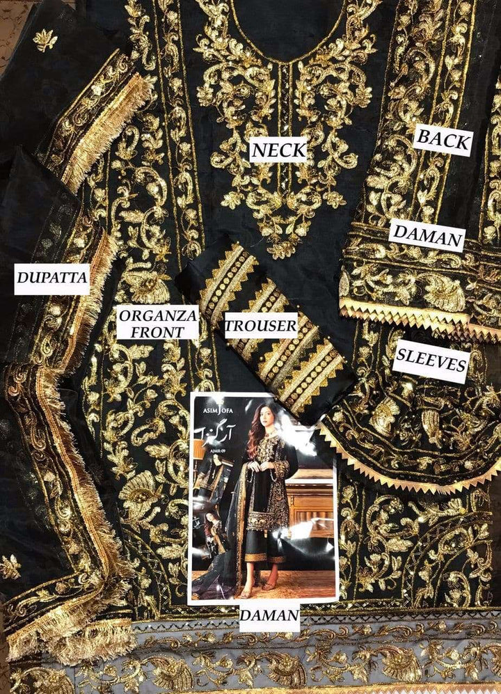 Asim Jofa Organza Suit-Aarasta