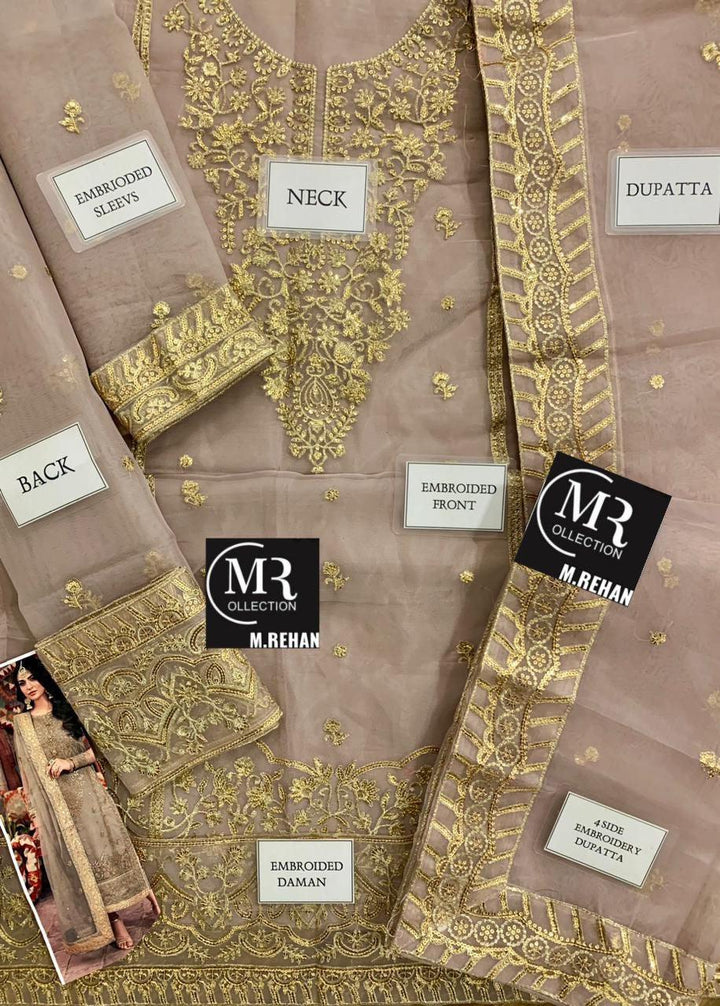 Asim Jofa Organza Suit-Aarasta