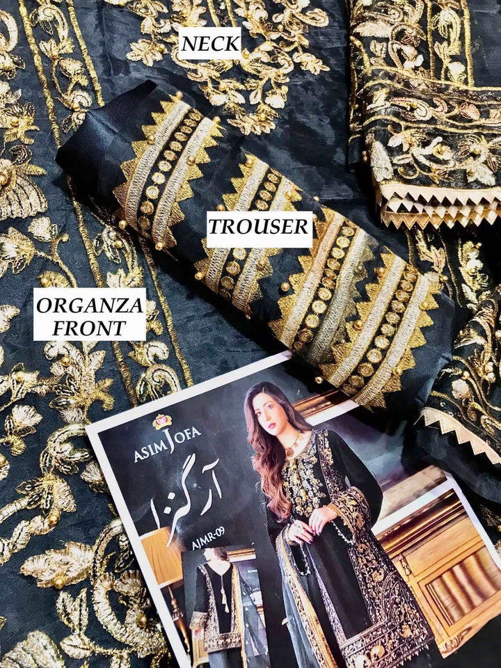 Asim Jofa Organza Suit-Aarasta