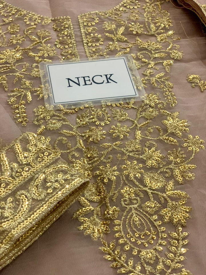 Asim Jofa Organza Suit-Aarasta