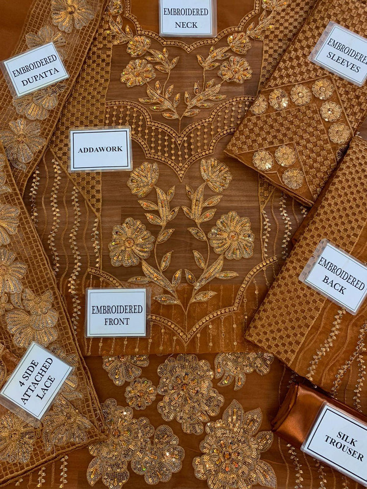 Azure Organza Suit-Aarasta