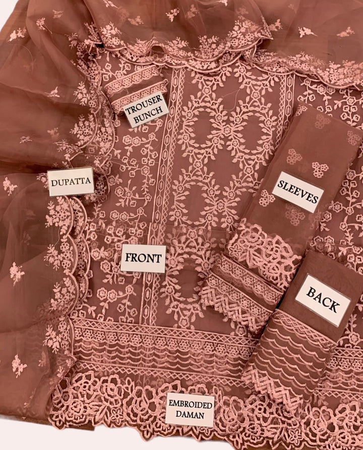 Azure Organza Suit-Aarasta