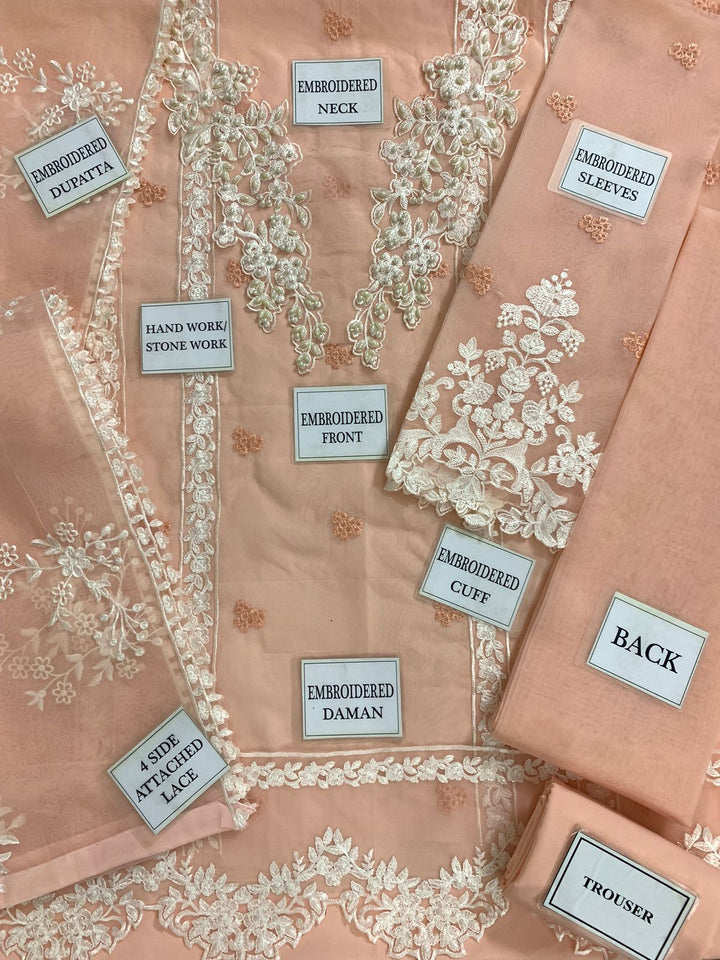 Azure Organza Suit-Aarasta