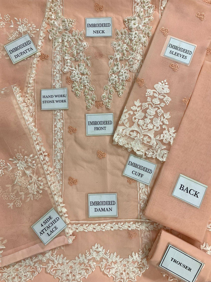 Azure Organza Suit-Aarasta