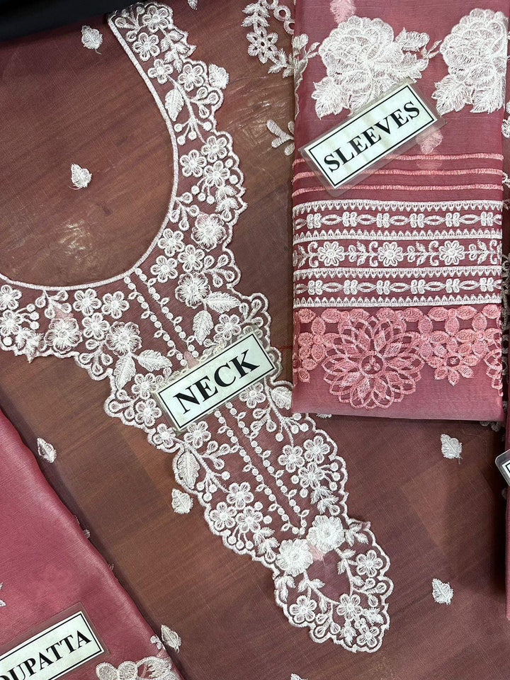 Azure Organza Suit-Aarasta